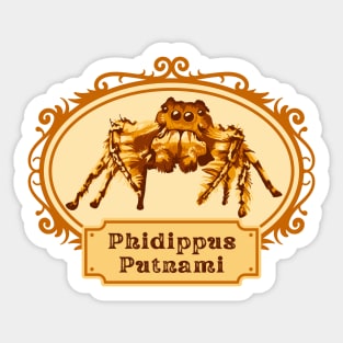 Phidippus Putnami - Jumping Spider Sticker